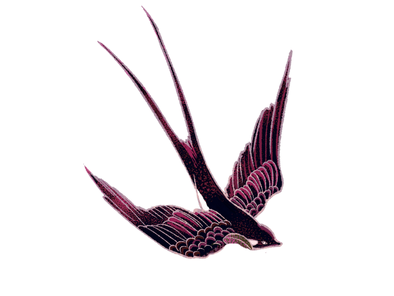 Black and Gold Modern Indian Jewelry Festive Sale Poster (800 x 600 px)